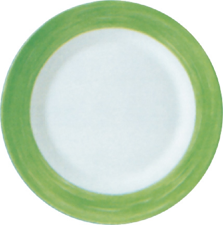 Speiseteller 23,5 cm aus Opalglas Form Brush - Green / Grün von Arcoroc Arcoroc