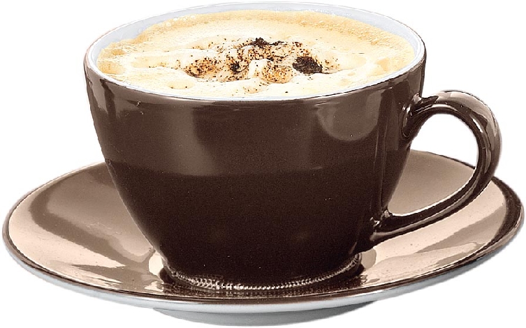 Milchkaffee-Tasse, mit Untertasse, Inhalt: 0,32 ltr., braun,