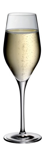 WMF DIVINE Champagner 0,1L (85.050.129) | Maße: 23 x 22 x 15 cm