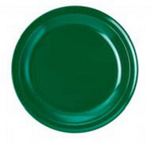 WACA Speiseteller COLORA in grün, aus Melamin. Durchmesser: 23,5 cm.