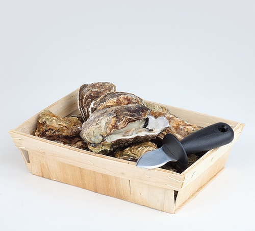 Austernöffner Länge 14 cm, Edelstahl Griff aus Polyamid mit geschärftem Rändern, zum einfachen Aufbrechen von Austern, mit