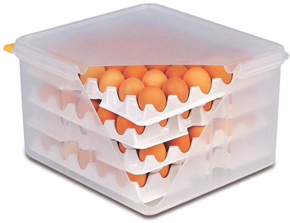 10 Lagen zu Eier-Box je 28 x 28 cm Polystyrol passend zu Artikel Nr. 82419 stapelbar Farbe: Weiß nicht spülmaschinengeeignet