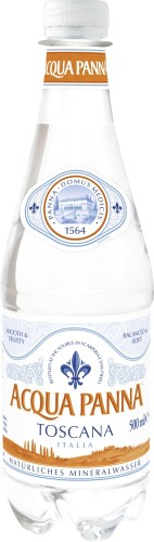 Acqua Panna Mineralwasser still PET 0,5L Mehrwegartikel (inkl. Pfand)