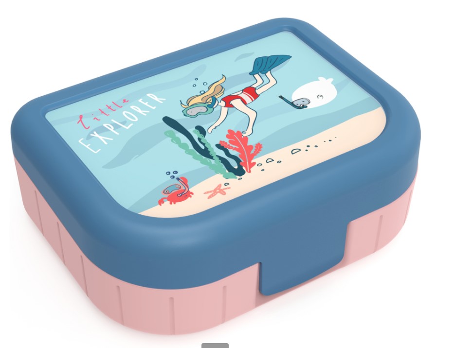 Rotho Snackbox MEMORY KIDS, Design: Explorer Mädchen, mit Verschluss-Clip, Inhalt: 1 Liter, BPA frei,
